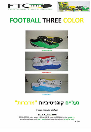 חוברת/הסבר ממצא על החברה